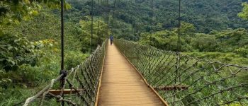 北角吊橋