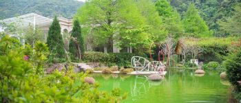 台一生態休閒農場(楓樺台一渡假村)