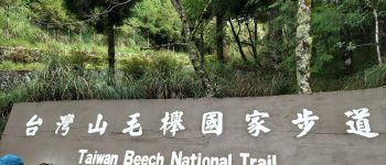台灣山毛櫸國家步道