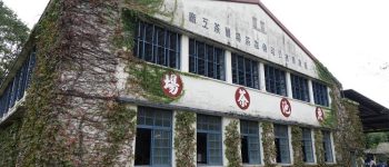 日月老茶廠