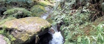 鎮西堡