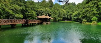 阿里山國家森林遊樂區