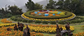 陽明山花鐘